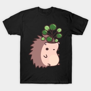 Hedgehog Planter with Pancake Plant T-Shirt